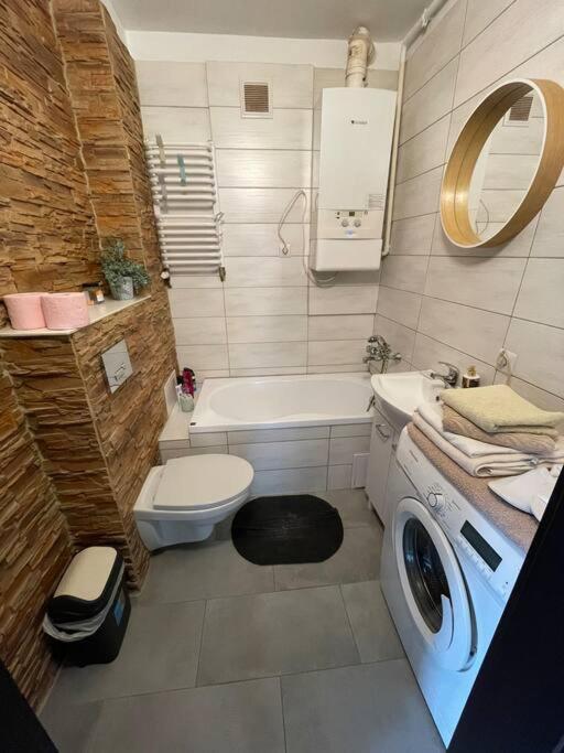 Sunny Apartment In Silesia เชลาดช์ ภายนอก รูปภาพ