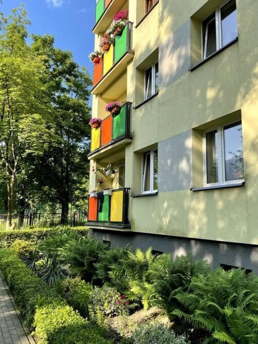 Sunny Apartment In Silesia เชลาดช์ ภายนอก รูปภาพ
