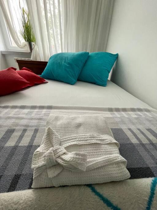 Sunny Apartment In Silesia เชลาดช์ ภายนอก รูปภาพ
