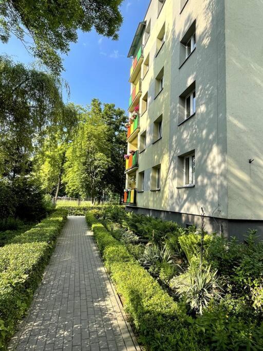 Sunny Apartment In Silesia เชลาดช์ ภายนอก รูปภาพ